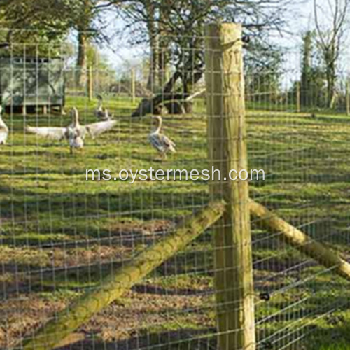 HDPE Poultry Netting Chicken Wire Fence